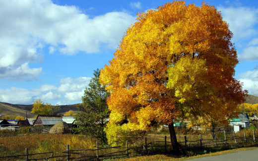 972878 (a): :2560x1600